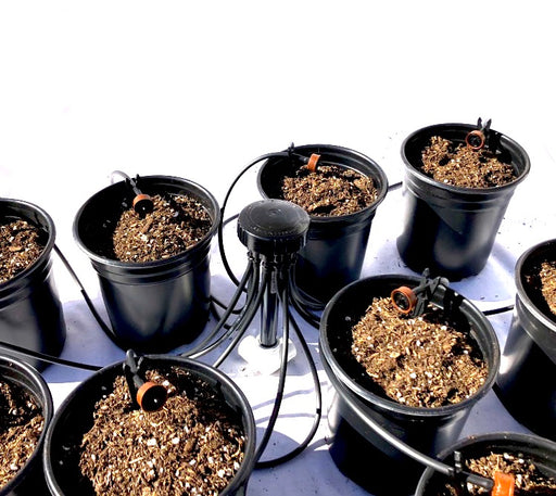 12 Plant Drip Irrigation Home Grow Kit - With Emitters