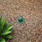 USA Made 4" Inch Outdoor Atrium Flat Drain Grate Cover, Green, Black, Tan