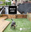 Green, 6 Inch Garden Stakes, Landscape Staples, U-Type Turf Stake for Artificial Grass, Rust Proof Sod Pin for Securing Fences Weed Barrier Fabric Outdoor Wires Tents & Tarps