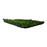 Clearwater - 62oz - Artificial Grass Turf Lawn Roll - Premium Synthetic Grass Lawn - Bermuda Select