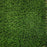 Miami - 80oz Face Weight - 2" Tall Full Size Artificial Grass Turf Roll - Synthetic Grass Lawn